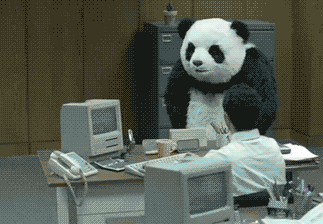 smash keyboard panda